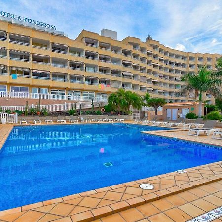 Cosy Studio In Las Americas Apartment Playa de las Americas  Exterior photo